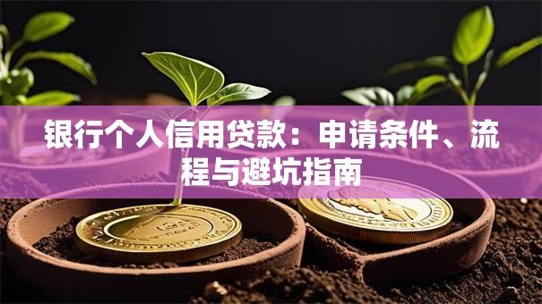 银行个人信用贷款：申请条件、流程与避坑指南