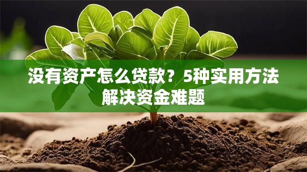 没有资产怎么贷款？5种实用方法解决资金难题