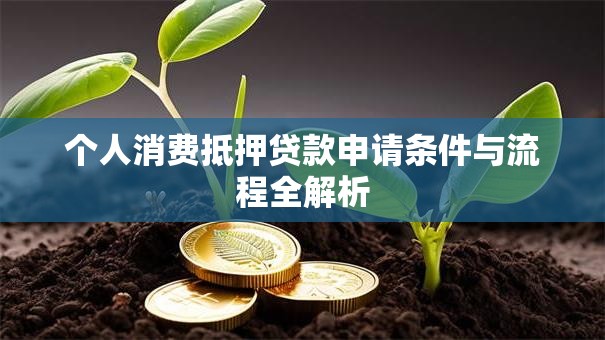 个人消费抵押贷款申请条件与流程全解析