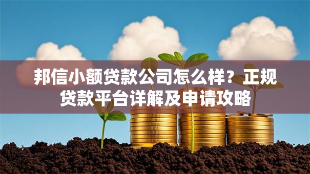 邦信小额贷款公司怎么样？正规贷款平台详解及申请攻略