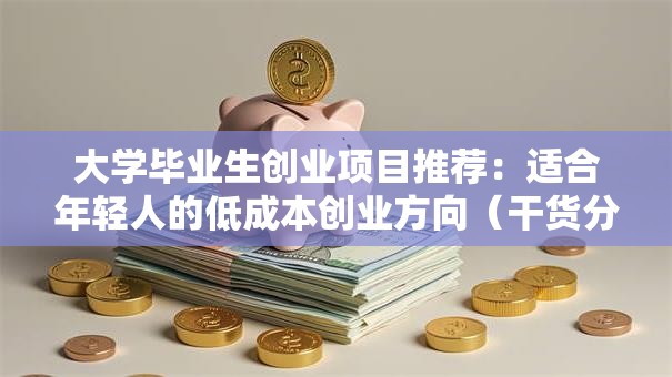 大学毕业生创业项目推荐：适合年轻人的低成本创业方向（干货分享）