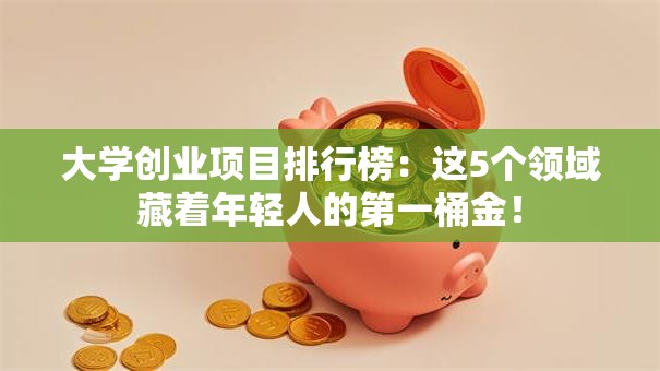 大学创业项目排行榜：这5个领域藏着年轻人的第一桶金！