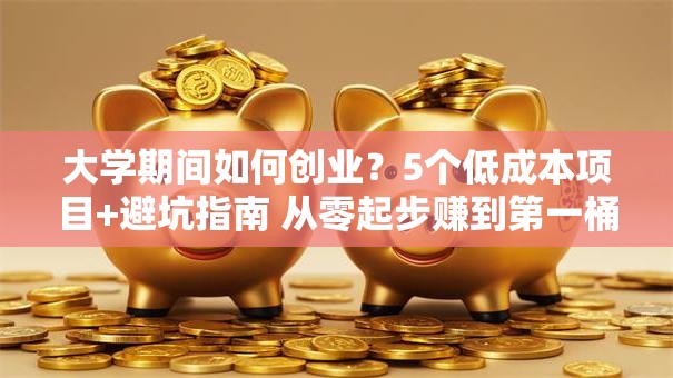 大学期间如何创业？5个低成本项目+避坑指南 从零起步赚到第一桶金