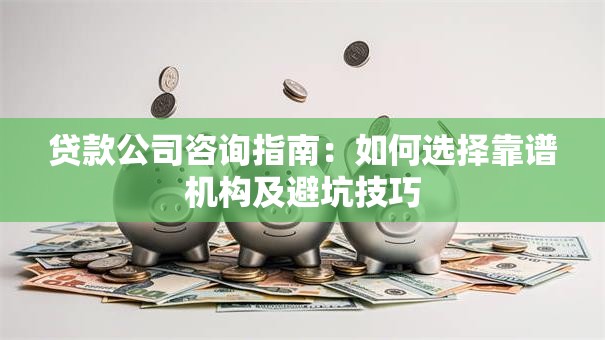 贷款公司咨询指南：如何选择靠谱机构及避坑技巧