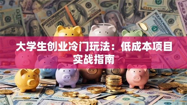 大学生创业冷门玩法：低成本项目实战指南