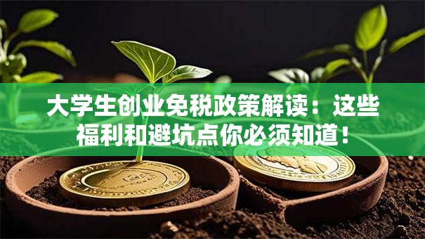 大学生创业免税政策解读：这些福利和避坑点你必须知道！