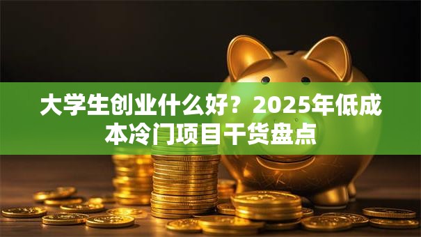 大学生创业什么好？2025年低成本冷门项目干货盘点