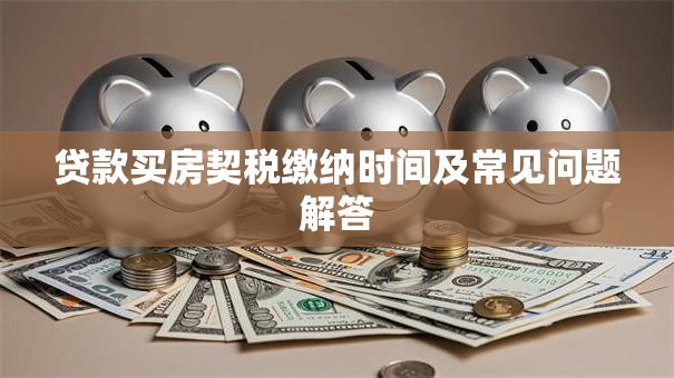 贷款买房契税缴纳时间及常见问题解答