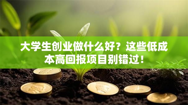大学生创业做什么好？这些低成本高回报项目别错过！