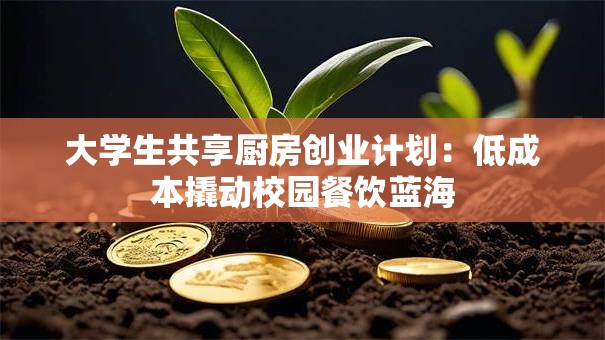 大学生共享厨房创业计划：低成本撬动校园餐饮蓝海