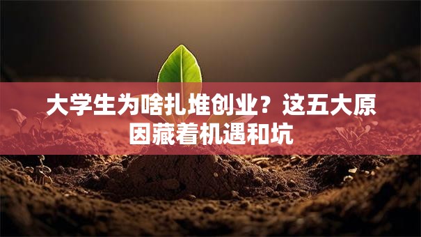 大学生为啥扎堆创业？这五大原因藏着机遇和坑