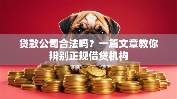 贷款公司合法吗？一篇文章教你辨别正规借贷机构