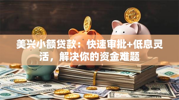 美兴小额贷款：快速审批+低息灵活，解决你的资金难题