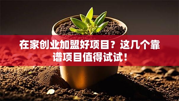 在家创业加盟好项目？这几个靠谱项目值得试试！