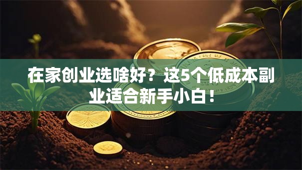 在家创业选啥好？这5个低成本副业适合新手小白！