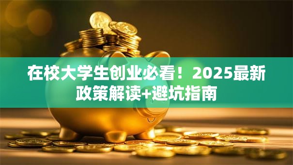 在校大学生创业必看！2025最新政策解读+避坑指南