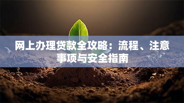 网上办理贷款全攻略：流程、注意事项与安全指南