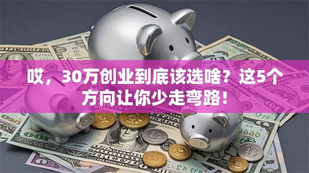 哎，30万创业到底该选啥？这5个方向让你少走弯路！