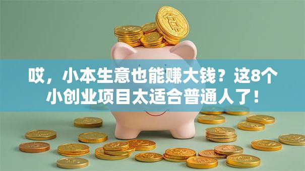哎，小本生意也能赚大钱？这8个小创业项目太适合普通人了！