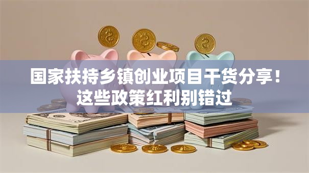 国家扶持乡镇创业项目干货分享！这些政策红利别错过