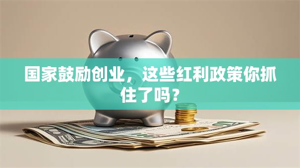 国家鼓励创业，这些红利政策你抓住了吗？