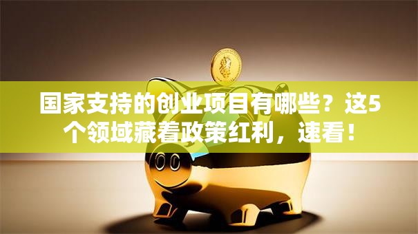 国家支持的创业项目有哪些？这5个领域藏着政策红利，速看！