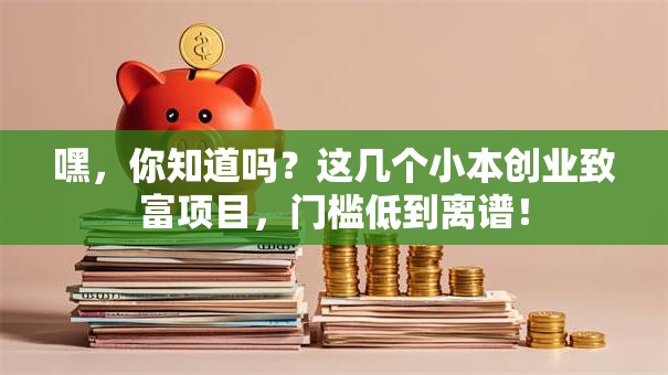 嘿，你知道吗？这几个小本创业致富项目，门槛低到离谱！