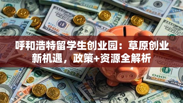 呼和浩特留学生创业园：草原创业新机遇，政策+资源全解析