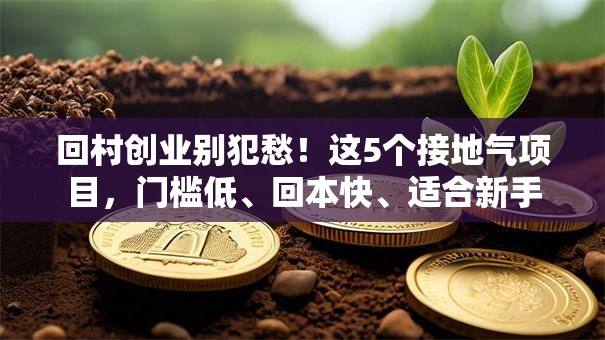 回村创业别犯愁！这5个接地气项目，门槛低、回本快、适合新手