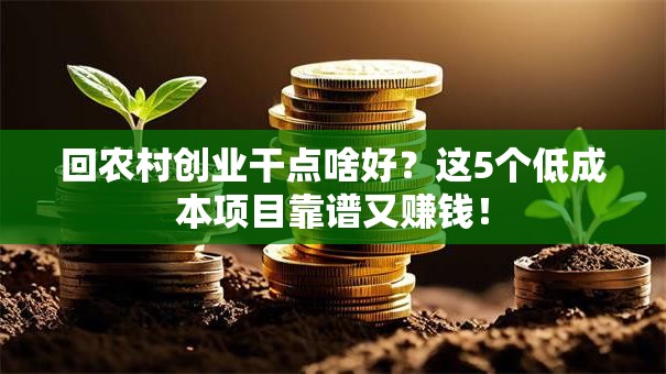 回农村创业干点啥好？这5个低成本项目靠谱又赚钱！