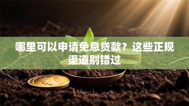 哪里可以申请免息贷款？这些正规渠道别错过