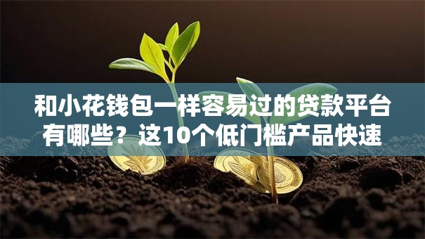 和小花钱包一样容易过的贷款平台有哪些？这10个低门槛产品快速到账