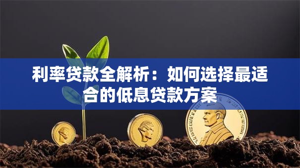 利率贷款全解析：如何选择最适合的低息贷款方案