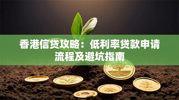 香港信贷攻略：低利率贷款申请流程及避坑指南