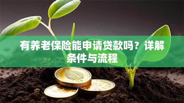 有养老保险能申请贷款吗？详解条件与流程