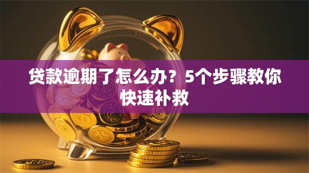 贷款逾期了怎么办？5个步骤教你快速补救
