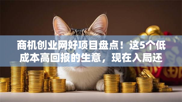 商机创业网好项目盘点！这5个低成本高回报的生意，现在入局还不晚