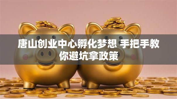 唐山创业中心孵化梦想 手把手教你避坑拿政策