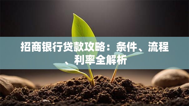 招商银行贷款攻略：条件、流程、利率全解析