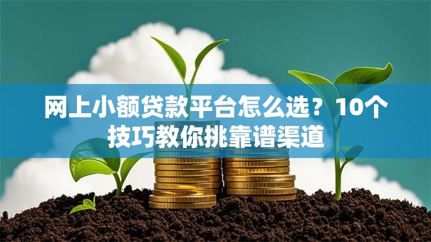 网上小额贷款平台怎么选？10个技巧教你挑靠谱渠道