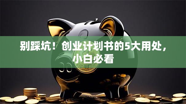 别踩坑！创业计划书的5大用处，小白必看