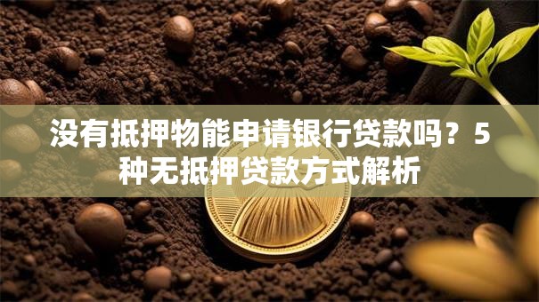 没有抵押物能申请银行贷款吗？5种无抵押贷款方式解析