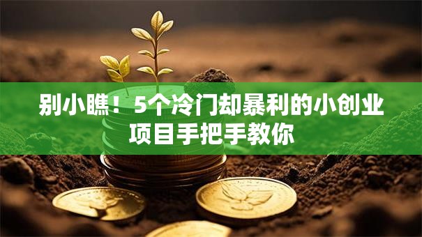 别小瞧！5个冷门却暴利的小创业项目手把手教你