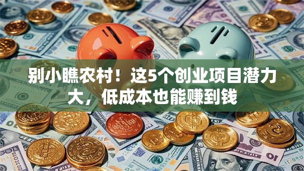 别小瞧农村！这5个创业项目潜力大，低成本也能赚到钱