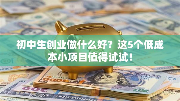 初中生创业做什么好？这5个低成本小项目值得试试！