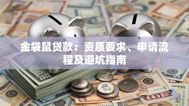 金袋鼠贷款：资质要求、申请流程及避坑指南