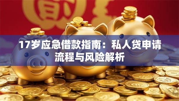 17岁应急借款指南：私人贷申请流程与风险解析
