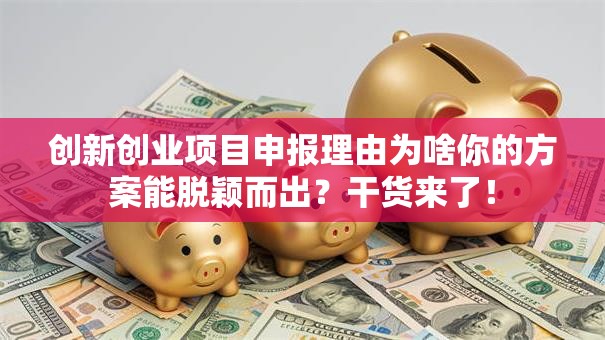 创新创业项目申报理由为啥你的方案能脱颖而出？干货来了！