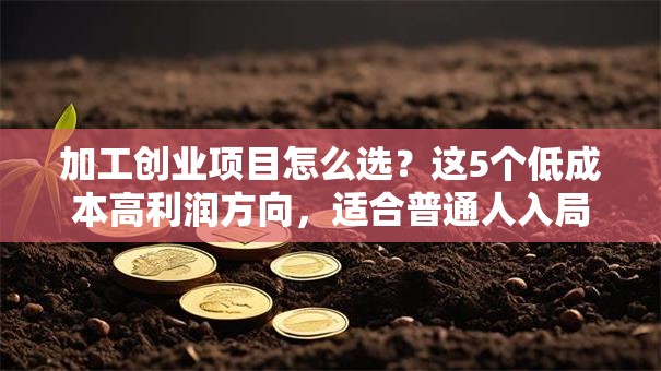 加工创业项目怎么选？这5个低成本高利润方向，适合普通人入局！