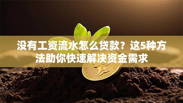 没有工资流水怎么贷款？这5种方法助你快速解决资金需求